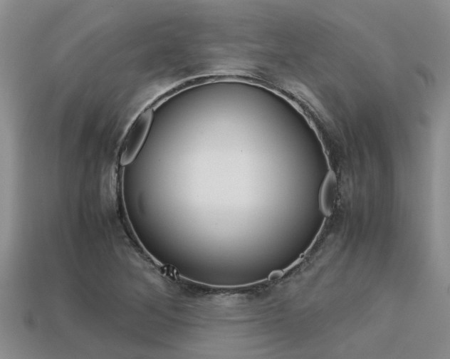X0000113221268200909100915