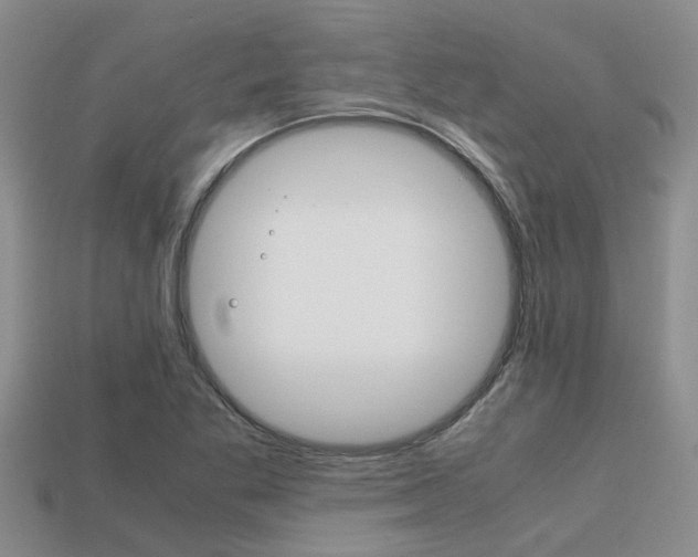 X0000113221269200909100915