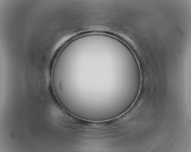 X0000113221271200909100915
