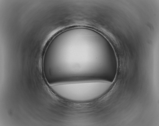 X0000113221272200909100914