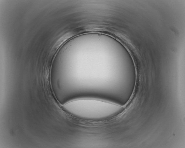 X0000113221273200909100914