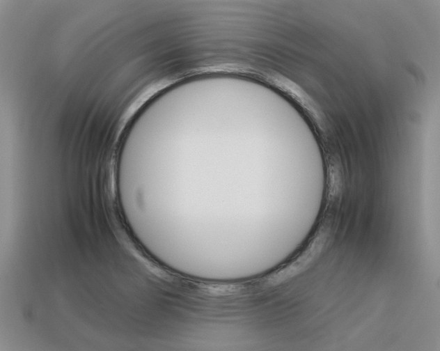 X0000113221274200909100914