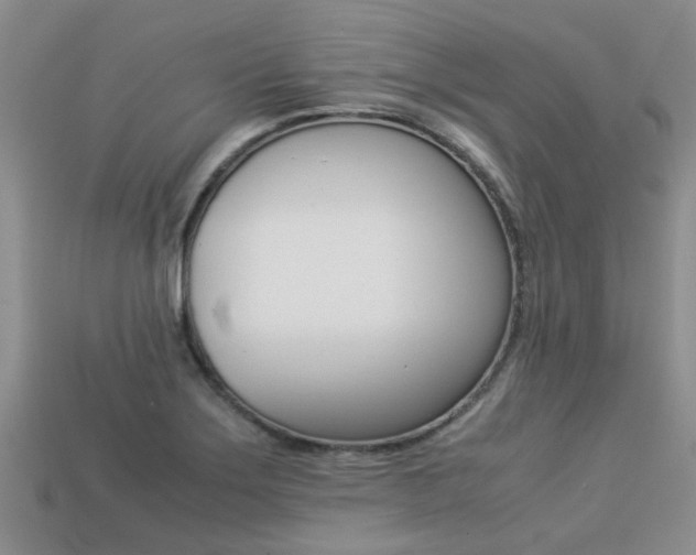 X0000113221275200909100914