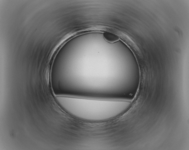 X0000113221276200909100914
