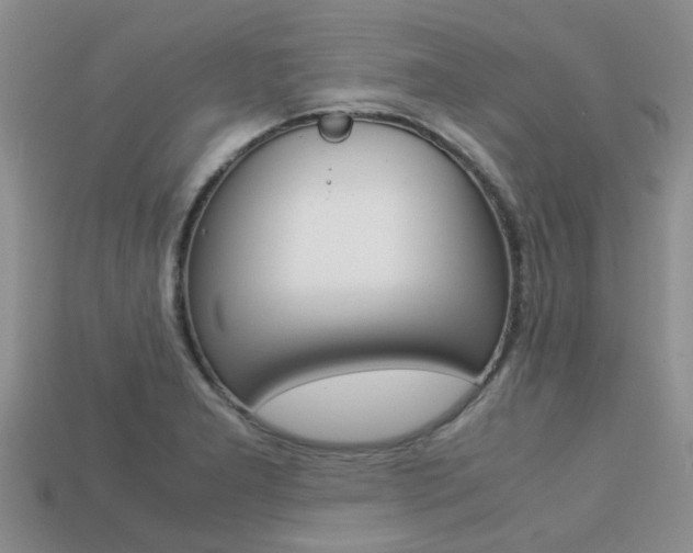 X0000113221277200909100914
