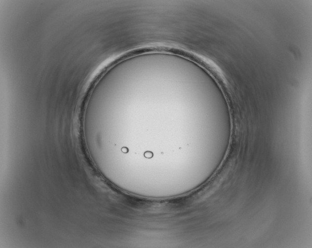 X0000113221279200909100914