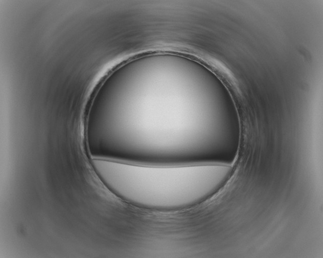 X0000113221280200909100914