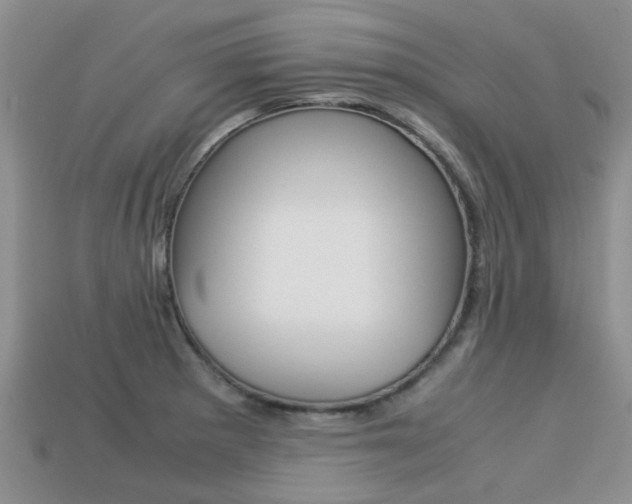 X0000113221281200909100914