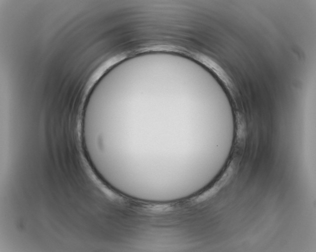 X0000113221282200909100914