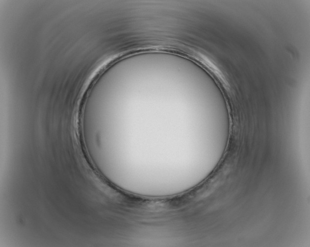 X0000113221283200909100914