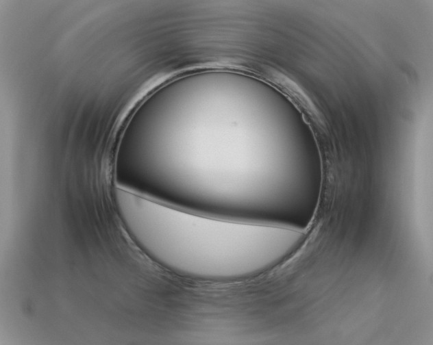 X0000113221284200909100914