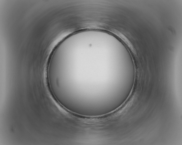 X0000113221285200909100914