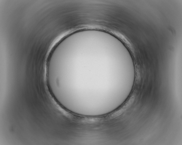 X0000113221286200909100914