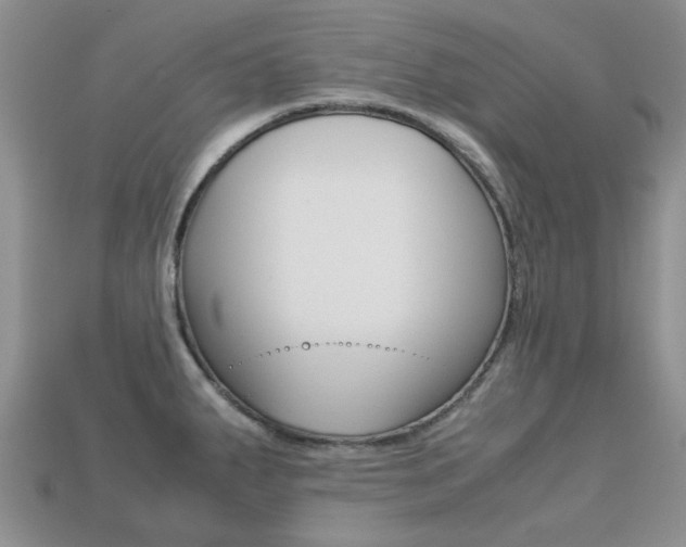X0000113221287200909100914