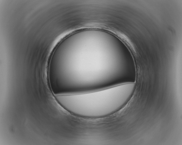 X0000113221288200909100914