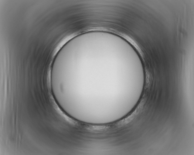 X0000113221290200909100914