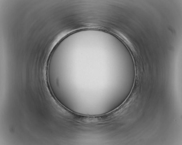 X0000113221291200909100914