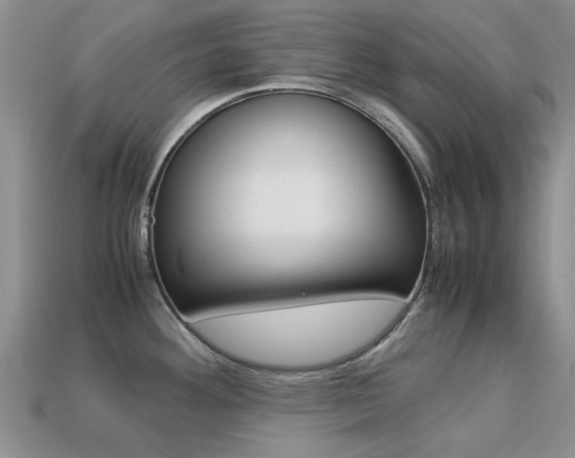 X0000113221292200909100914