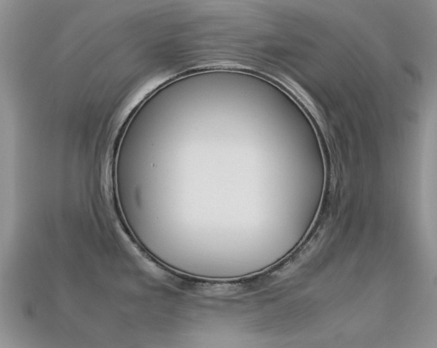 X0000113221293200909100914