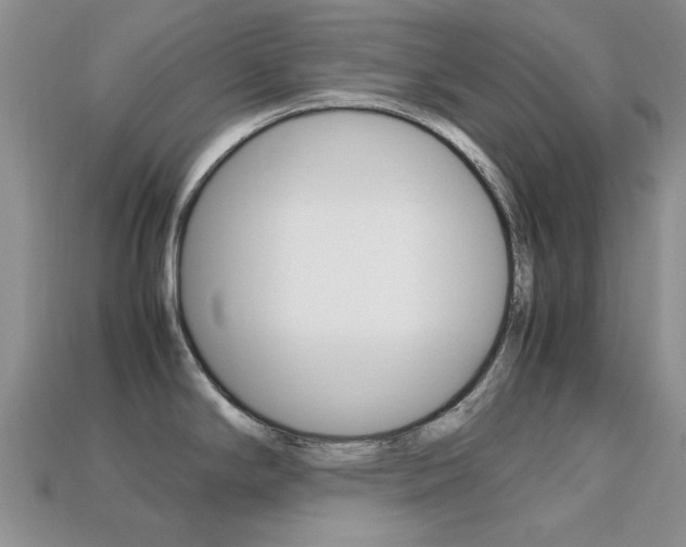 X0000113221294200909100914
