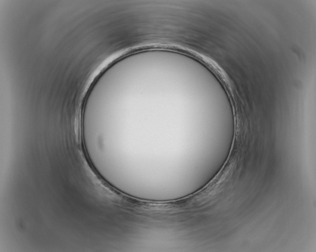 X0000113221295200909100914