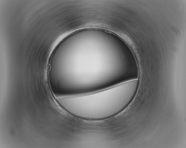 X0000113221296200909100914