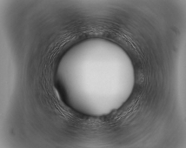 X0000113221297200909100914