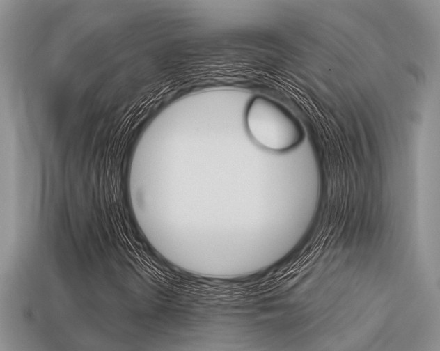 X0000113221298200909100914