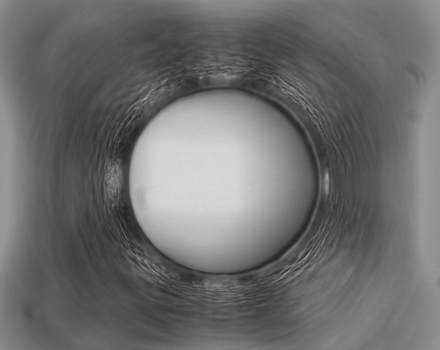 X0000113221299200909100914