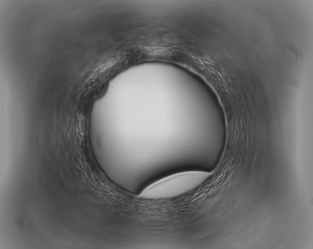 X0000113221301200909100914