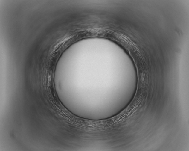 X0000113221302200909100914