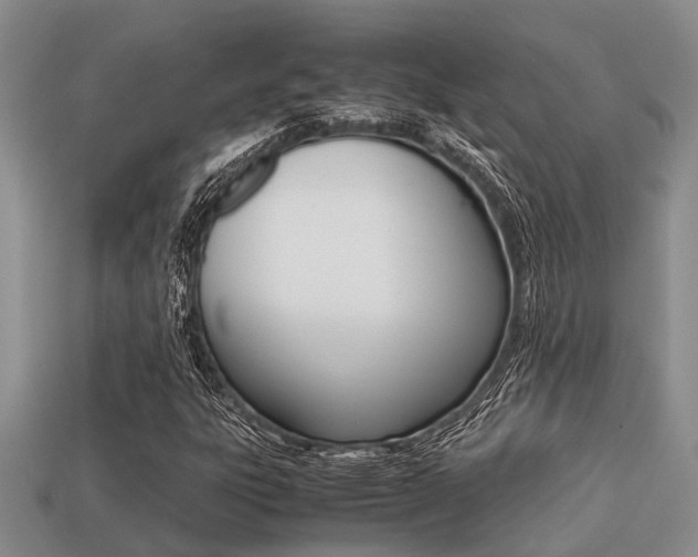 X0000113221303200909100914