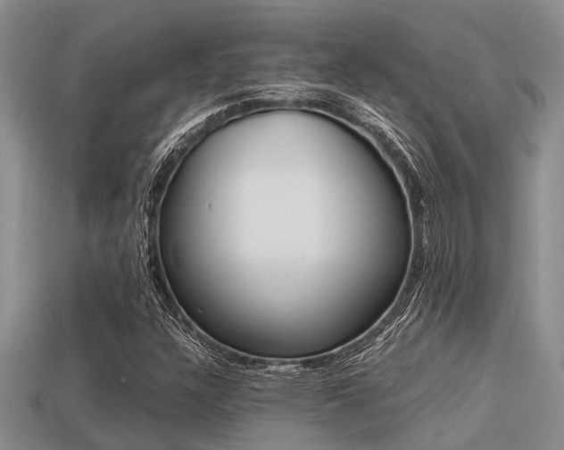 X0000113221304200909100914