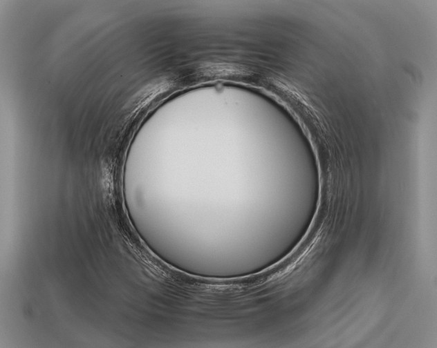 X0000113221305200909100914