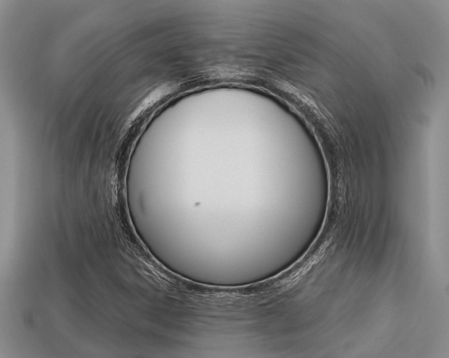 X0000113221306200909100914
