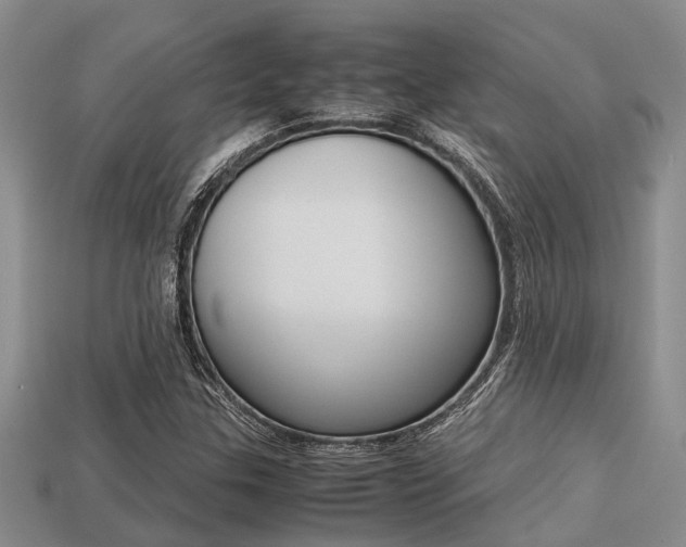X0000113221307200909100914