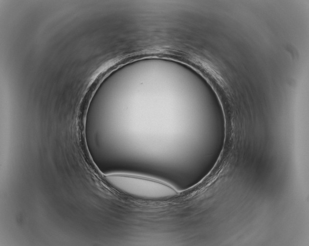 X0000113221308200909100914
