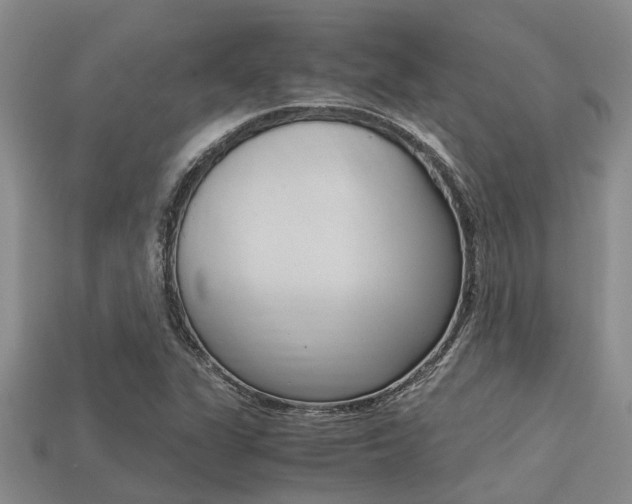 X0000113221311200909100914