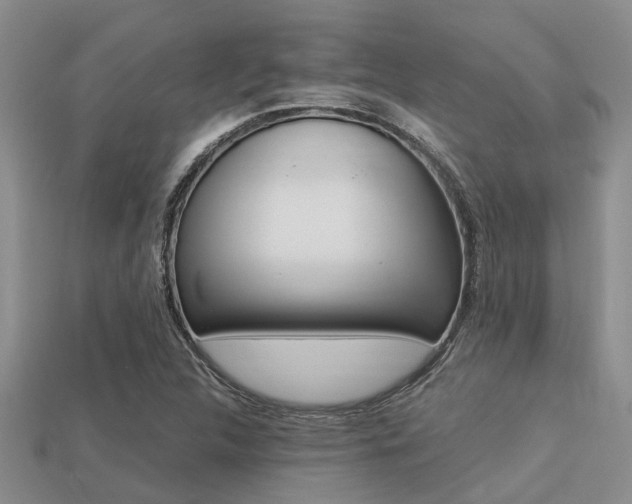 X0000113221312200909100914