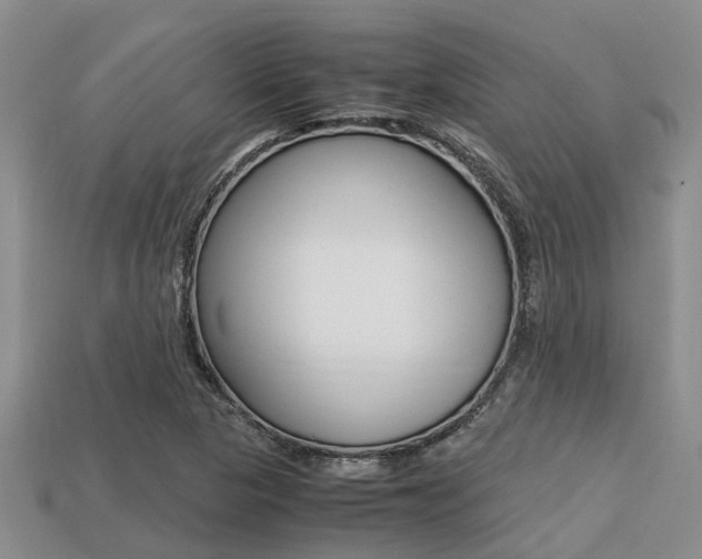 X0000113221313200909100914
