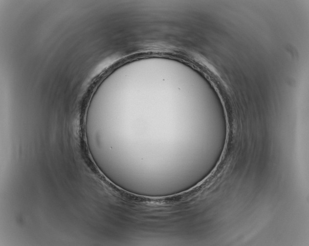 X0000113221315200909100914