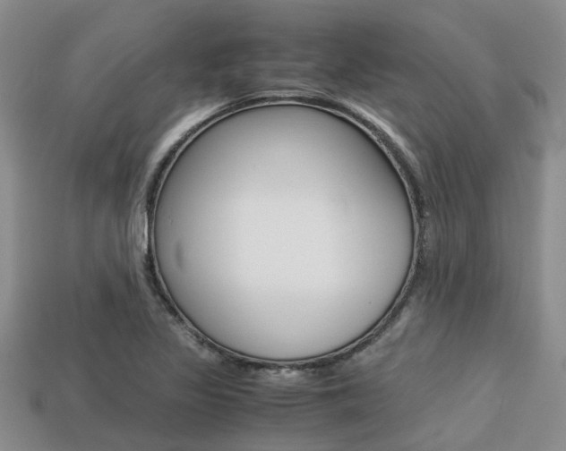 X0000113221317200909100914
