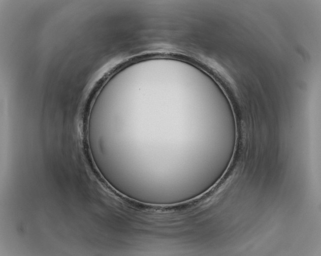 X0000113221318200909100914