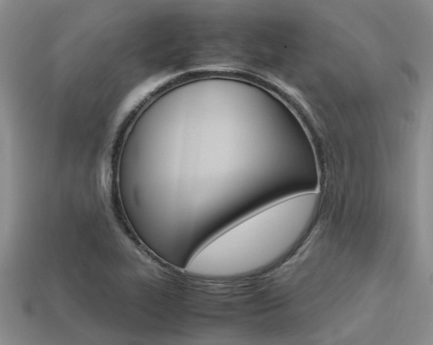 X0000113221319200909100914