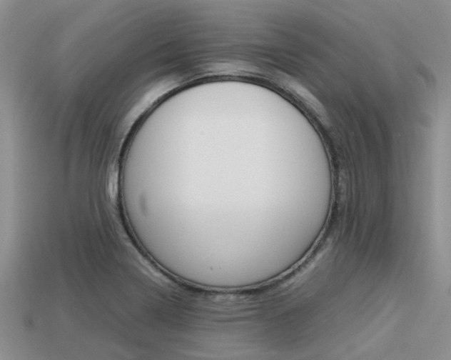 X0000113221322200909100914
