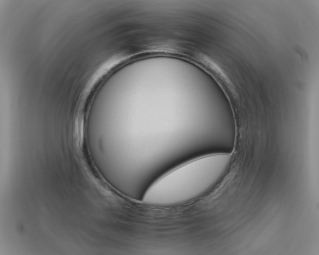 X0000113221323200909100914