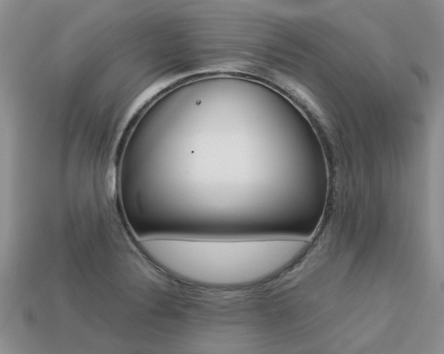 X0000113221324200909100914