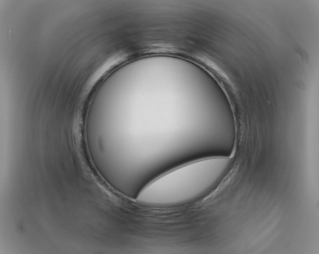 X0000113221325200909100914