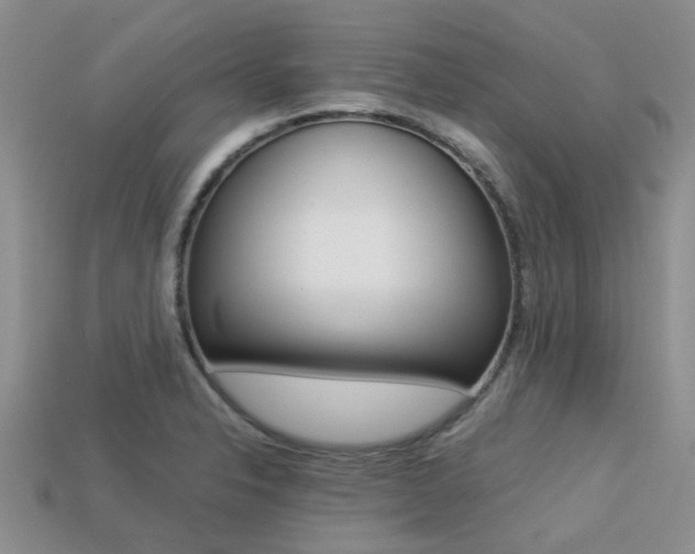 X0000113221326200909100914