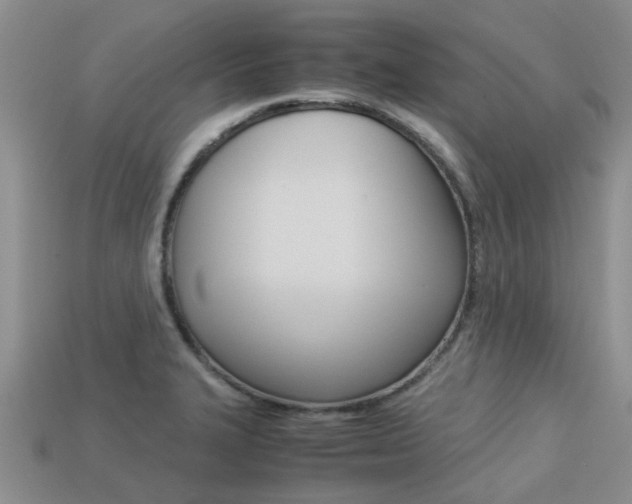 X0000113221327200909100914